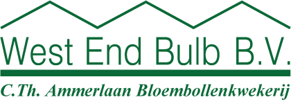 logo Westend Bulb 